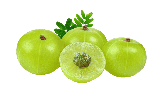 The Ayurveda Rituals-Luxury Ayurveda