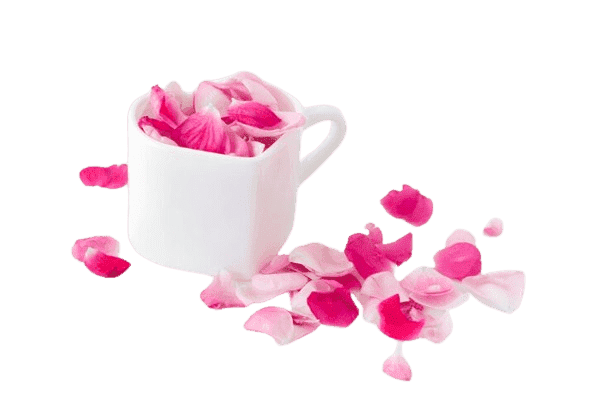 The Ayurveda Rituals-Luxury Ayurveda