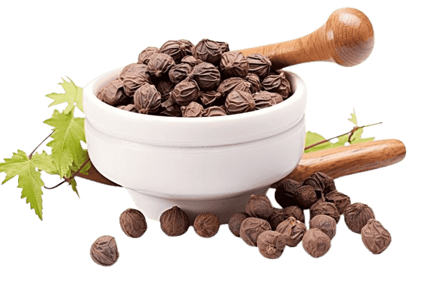 The Ayurveda Rituals-Luxury Ayurveda